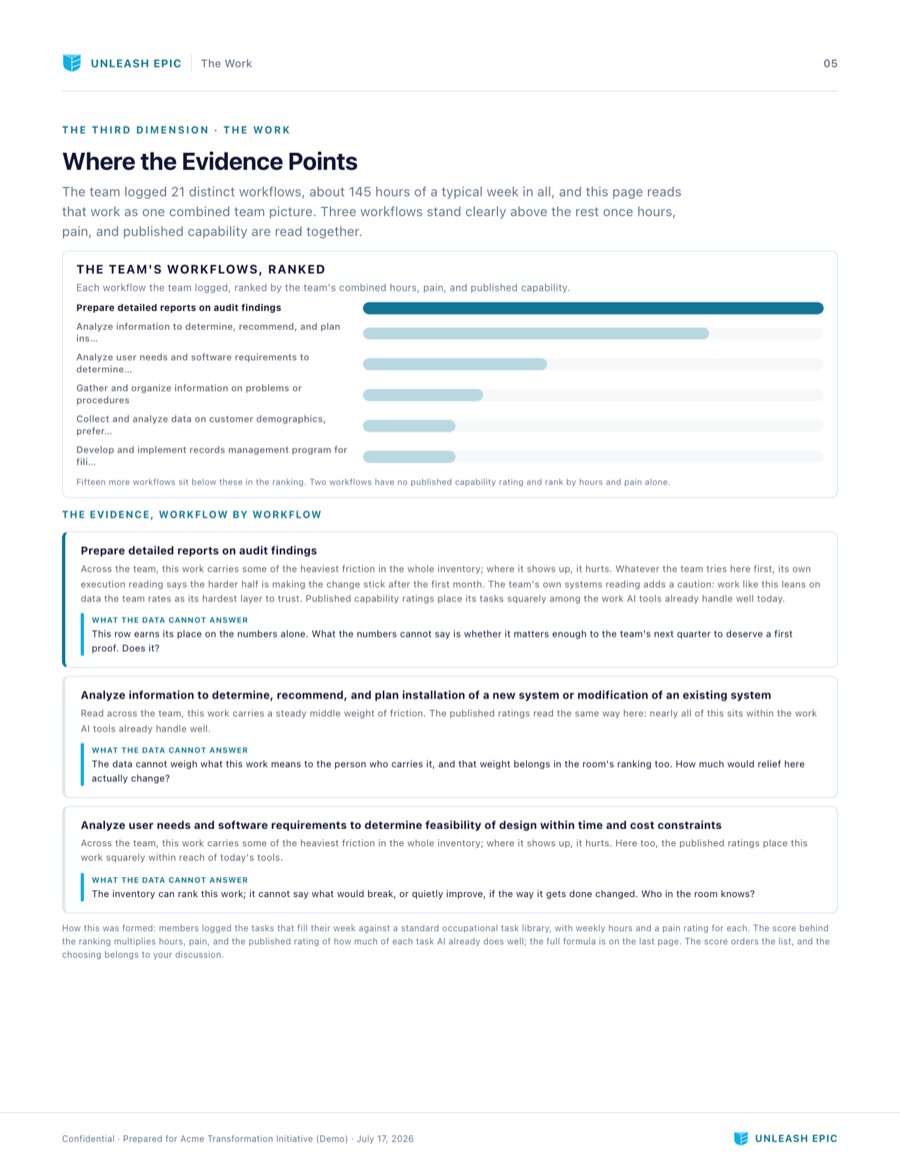 AI Execution Plan report, page 5: The Work