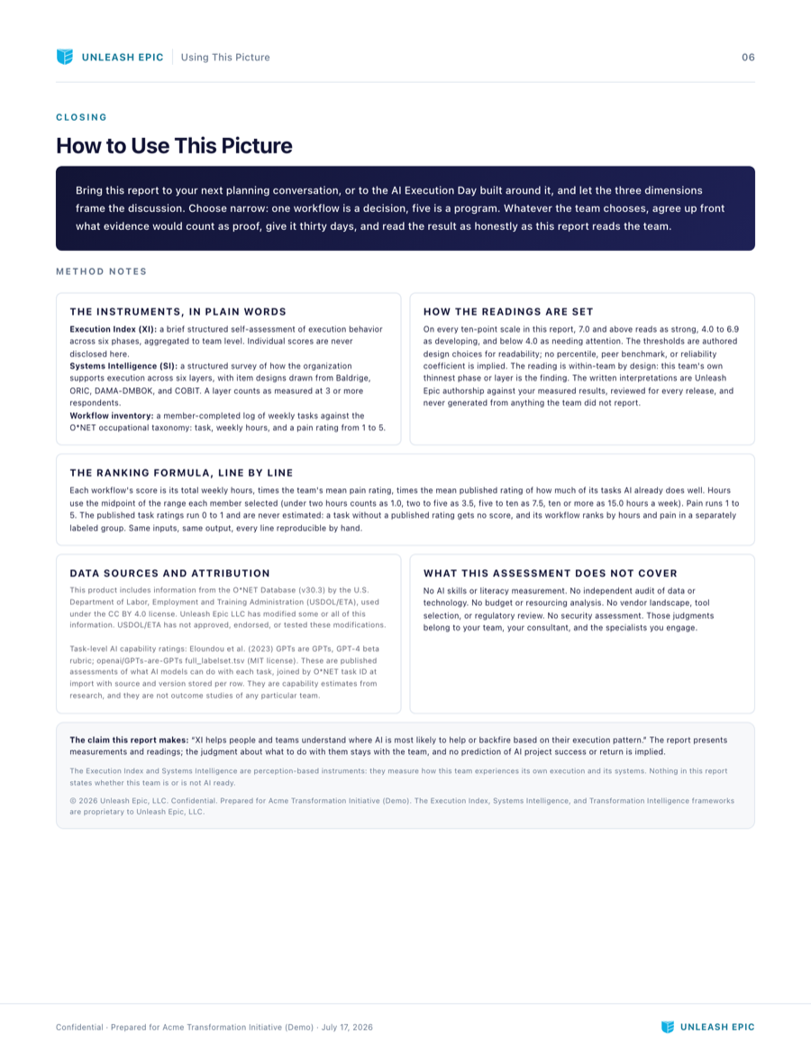 AI Execution Plan report, page 6: How to Use This Picture